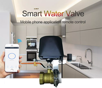 Automatisation de la maison intelligente, vanne d'eau WiFi, vanne de gaz, commande ou vanne d'eau, application Tuya, fonctionne avec Alexa ou Google Home