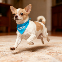 Ventes chaudes : Bandanas pour chien personnalisés de luxe écologiques en coton blanc avec nom et logo, impression par sublimation pour l'été