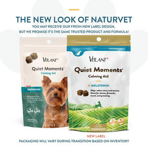 Optimale Kauwbare Kalmerende Tabletten Voor Honden Grensoverschrijdende Gezondheidszorg & Supplementen Voor Huisdieren - Product Image 4