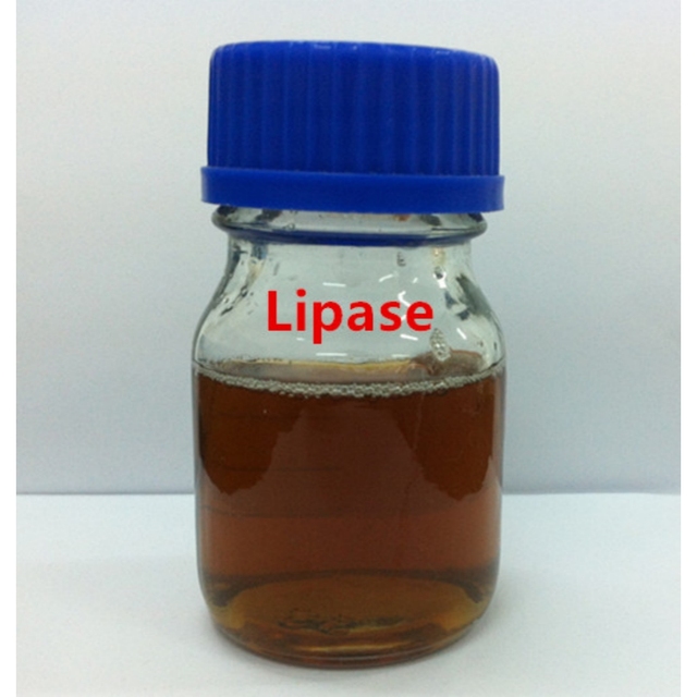 Lipase From Aspergillus Oryzae Source