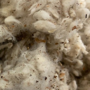 Déchets de coton Lickerin/mouche de carte/bande plate 100% fibre de coton-Mme Mira - Product Image 4