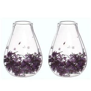 <span class=keywords><strong>Tasse</strong></span> à café en verre borosilicate double paroi, design simple avec fleurs séchées, résistante à la chaleur, <span class=keywords><strong>pour</strong></span> café et boissons lactées – Meilleure vente - Product Image 1