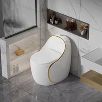 Ensemble de toilettes monobloc en céramique moderne noir, blanc et gris avec siphon en S et double chasse pour salle de bain