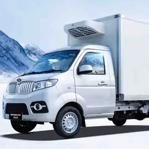 Werksverkauf SWM Shineray T3 Kühlwagen Kastenwagen gekühlt 4*2 Mini-Transporter Fahrzeuge Kühlschrank Gefrier schrank Auto