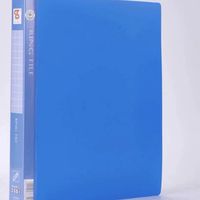 Organiseur de fichiers de bureau et scolaire durable, imperméable, format A4, 20/30/40/60/80/100 pochettes en plastique transparent pour l'organisation
