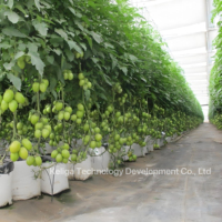 Serre agricole de type toit rétractable serre à toit entièrement ouvert plantation de légumes et de fruits