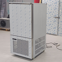 IQF 10 plateaux-40 ° C congélation rapide réfrigérateur surgelé petit refroidissement par Air congélateur à soufflage refroidisseur congélateur à choc pour poisson crevettes viande