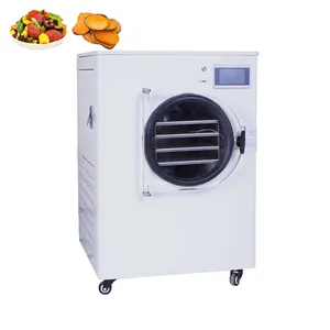 Vacuum Freeze Dryer Lyophilizer Meat Freeze Drying Machine Sublimation Condensation Dryer