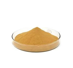 Nhà máy cung cấp chất lượng cao chiết xuất của ma quỷ <span class=keywords><strong>Claw</strong></span> chiết xuất harpagoside 5% của ma quỷ <span class=keywords><strong>Claw</strong></span> chiết xuất của ma quỷ <span class=keywords><strong>Claw</strong></span> bột - Product Image 2