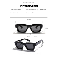 Rétro nouveauté OEM ODM haute qualité TR90 monture TAC lentilles unisexe lunettes de soleil UV400 lunettes de soleil polarisées personnalisées
