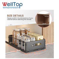 Nouveautés WELLTOP : Organisateur de placard coulissant, tiroirs coulissants, étagères de garde-manger, paniers fixes en fil métallique, étagère en acier au carbone