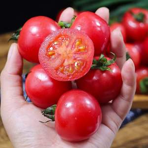 طماطم كرزية طماطم صغيرة ، طماطم موسمية صغيرة ، تأكل فواكه طازجة للبيع بالجملة لفاكهة الألفية ، وغيرها - Product Image 3