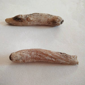 Racine de Musa Basjoo séchée au four, herbe rare naturelle, <span class=keywords><strong>rhizome</strong></span> de banane japonaise à vendre - Product Image 2