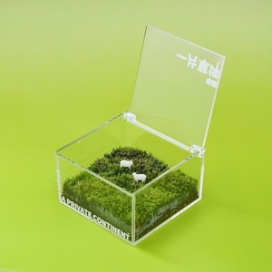 Un mini jardín, caja de musgo, vegetación para escritorio de oficina, plantas en maceta, decoraciones creativas para mesa, un micro paisaje curativo - Product Image 4