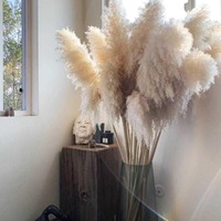 Pampas Dekorasi Rumah pengaturan bunga, rumput minimalis dekorasi rumah pertanian bunga kering alami Boho Paskah 150cm 200cm