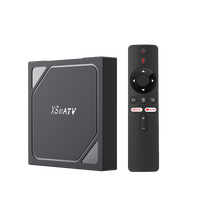 XS97 ATV Android 10 tvbox 2GB 16GB TV box Allwinner H313 Quad Core 4K IPTV TV box con control remoto por voz
