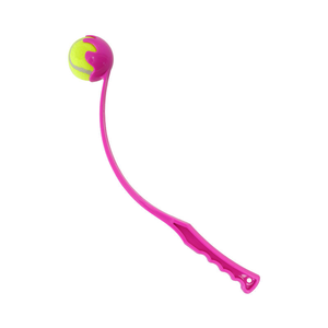 Bola Voladora para mascotas, Juguete eléctrico De hierro, productos para mascotas, juguetes para perros pequeños, batería - Product Image 3