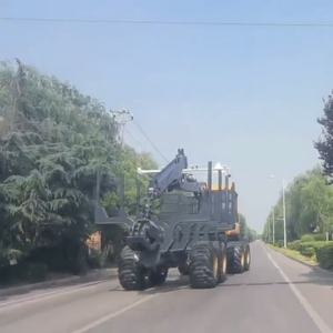Remolque para Troncos de 18 Toneladas con Grúa, Cabina a Prueba de Explosiones y Fácil Apilamiento para Transporte Forestal Pesado - Product Image 5