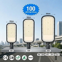 Farola LED para Exteriores de 150W, Eficiente Energéticamente, IP65 Impermeable, Cuerpo de Aluminio, Larga Vida Útil, Iluminación Vial