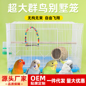 Cage à oiseaux en fil de fer rectangulaire, facile à assembler, petite cage pour oiseaux avec plateau extractible pour le nettoyage - Product Image 5