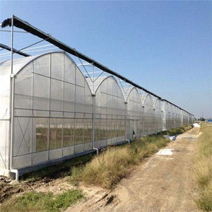 Serre agricole multi-spans de grande taille pour tomates, avec couverture en polycarbonate et structure métallique, <span class=keywords><strong>prix</strong></span> compétitif, horticulture YPWS YPLK-18 - Product Image 1