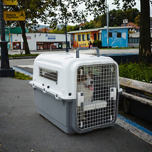 Hyra Mittelgroße Fluggesellschaft-Zugelassene ABS-Material Tragbare Haustiertransportbox für Hunde - Hundekäfig & Reisebehälter - Product Image 3