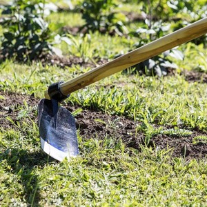 Excavadora de acero de vía férrea de alta calidad para jardín, herramientas de <span class=keywords><strong>mano</strong></span> agrícola con mango de madera - Product Image 2