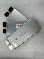 Batterie LiPo polymère au lithium à haute densité énergétique LongKun 3.5V 3.7V 8.5Ah 22Ah 36Ah OEM/ODM