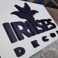 Enseignes publicitaires LED frontales Daco en acier inoxydable/acrylique, étanches IP65, conception gratuite, OEM/ODM