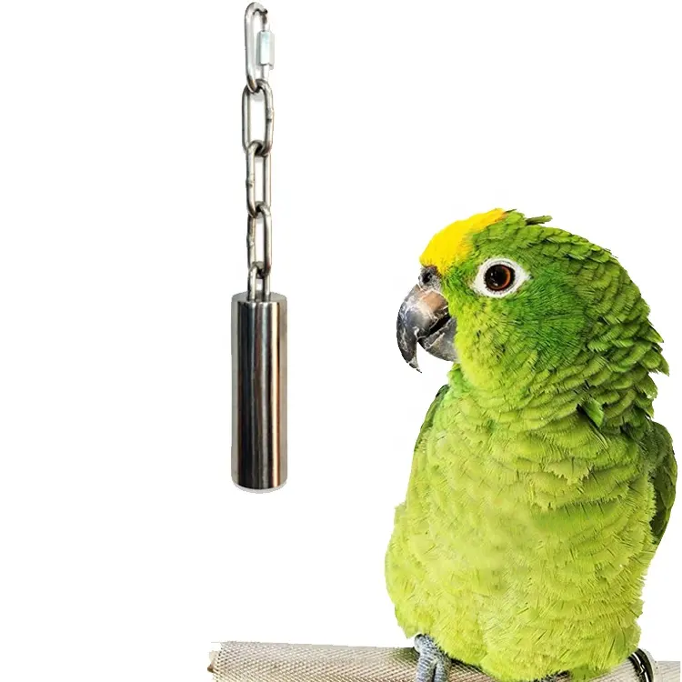 Amazon 2021 brinquedo de mastigar, de aço inoxidável, para animais de estimação, brinquedos de pássaros