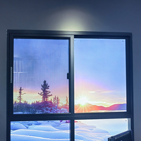 Conception de fenêtres pour la maison Profil double vitrage à impact d'ouragan personnalisé Fenêtres et portes Cadre en verre Fenêtre coulissante en aluminium