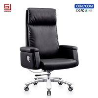 Chaise de bureau ergonomique professionnelle avec soutien lombaire et fonction pivotante