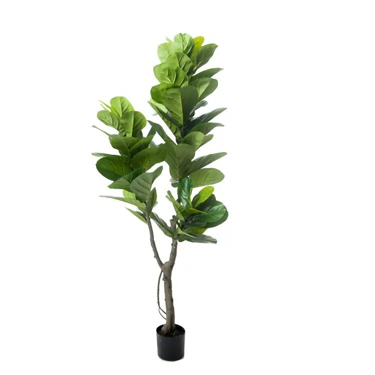 Stok tersedia tidak pudar dekorasi Ficus lyrata pohon buatan daun biola palsu kotoran tanaman ara daun