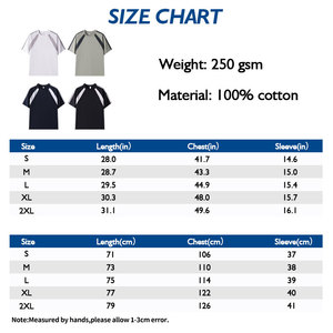 Venta al por mayor de alta calidad de algodón pesado 250gsm camiseta Unisex de gran tamaño en blanco liso Camiseta de cuello redondo de impresión camiseta para hombres - Product Image 6