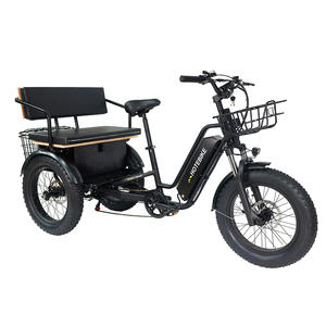 Tricycles électriques longue portée Batterie 48v 20ah <span class=keywords><strong>Tricycle</strong></span> électrique Siège arrière 3 roues Vélo cargo électrique pour bébé - Product Image 4