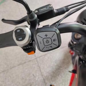Bicicleta Eléctrica de 52V y 22ah con Suspensión Completa, Hidráulica, Todoterreno, MTB, 55km/h, Rápida, 1000W, Neumáticos Anchos - Product Image 2