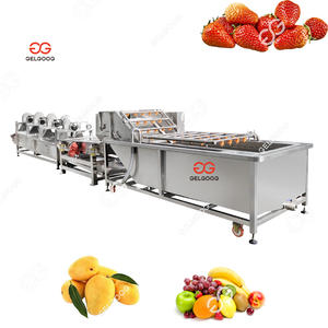 Gelgoog Traitement des fruits Jeune machine à laver à la noix de coco Air Bubble Mango Lavage Ligne de tri - Product Image 2