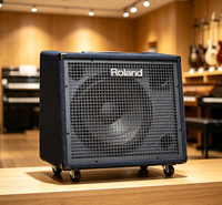 Amplificateur de guitare électrique en métal Roland KC600/KC880/KC990 fabriqué au Hunan avec emballage OEM pour instruments de musique