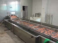 Milieuvriendelijkere Koeleenheid Iqf Tunneldiepvriezer Voor Vis En Fruit En Groenten Producttype Machine