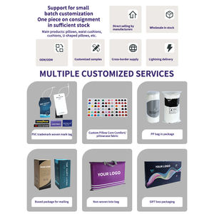 Ins çöl <span class=keywords><strong>Oasis</strong></span> bulut işlemeli yastık serisi yumuşak yatak kalp yıldız Golf eğlence toplantı için dekoratif yastıklar ev dekor - Product Image 2