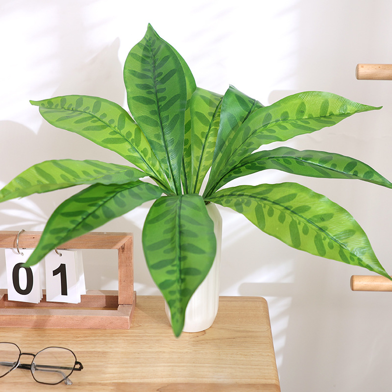 Herbe à queue de phénix