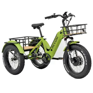 Reino Unido almacén 3 ruedas bicicleta eléctrica 20 "neumático grueso triciclo eléctrico para la familia