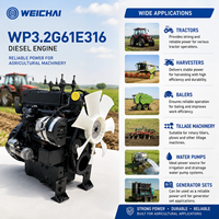 SCDC Weichai Stokta WP3.2 WP3.2G61E316 40.5kW 2400rpm Dizel Motor Tarım Traktörü Tarım Makineleri Güç Ünitesi için
