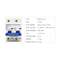 Interruptor Automático Bipolar DZ47 80 100 125 Amp, Tipo Riel DIN, Baja Tensión, Interruptor de Aire CA 400V, 2 Polos