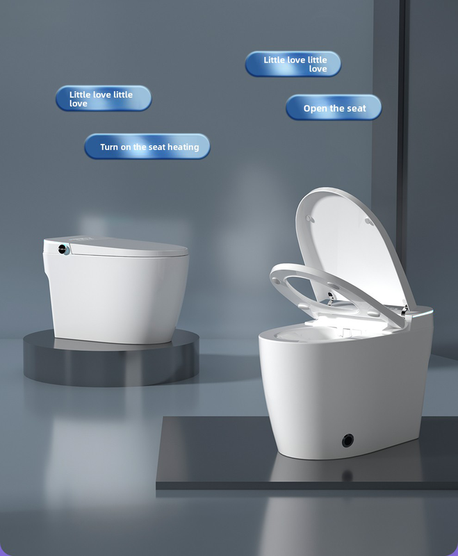 Smart Toilet with Remote Control Heated