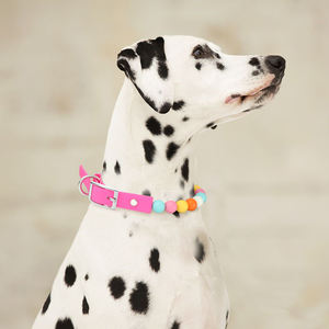 Maßgefertigtes Großhandels-Hundehalsband mit Bonbonfarbenen Perlen Süßes und Liebliches Hundehalsband Handgefertigtes Welpenhalsband - Product Image 2
