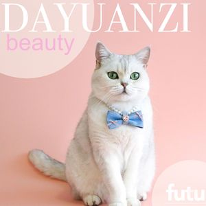 Collier en jean pour animaux de compagnie - Style Princesse avec Cœur en Pierre Précieuse et Nœud Diamanté pour Anniversaire - Collier pour Chien <span class=keywords><strong>Allemand</strong></span>, <span class=keywords><strong>Pomeranian</strong></span> - Product Image 1