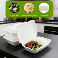 Assiette jetable 100 % biodégradable en bagasse de canne à sucre, couvercle à clapet pour plats à emporter, usage restaurant, vaisselle en plastique