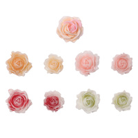 Décorations d'ongles DIY : Breloques fleurs roses 3D, feuilles, perles et camélias mélangés