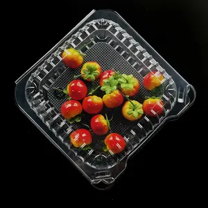 Hot Sale Disposable Plastic Custom Plastic PLA Food Clamshell Clear Take Away Hinged Lid Packaging For Bakery Fruit Vegetable